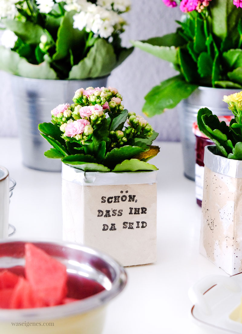 DIY Milchtüten Blumentopf | Kalanchoe auf dem Küchentisch | waseigenes.com