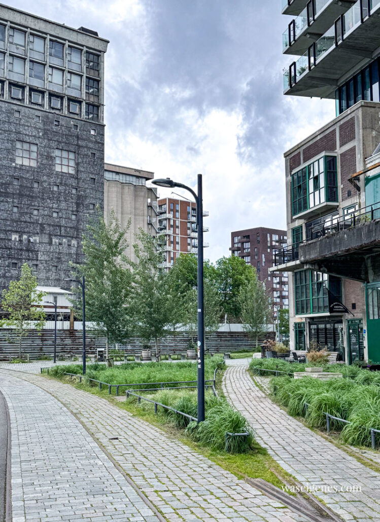 Rotterdam - Die Fenix Food Factory in Katendrecht { De Kaap} | waseigenes.com