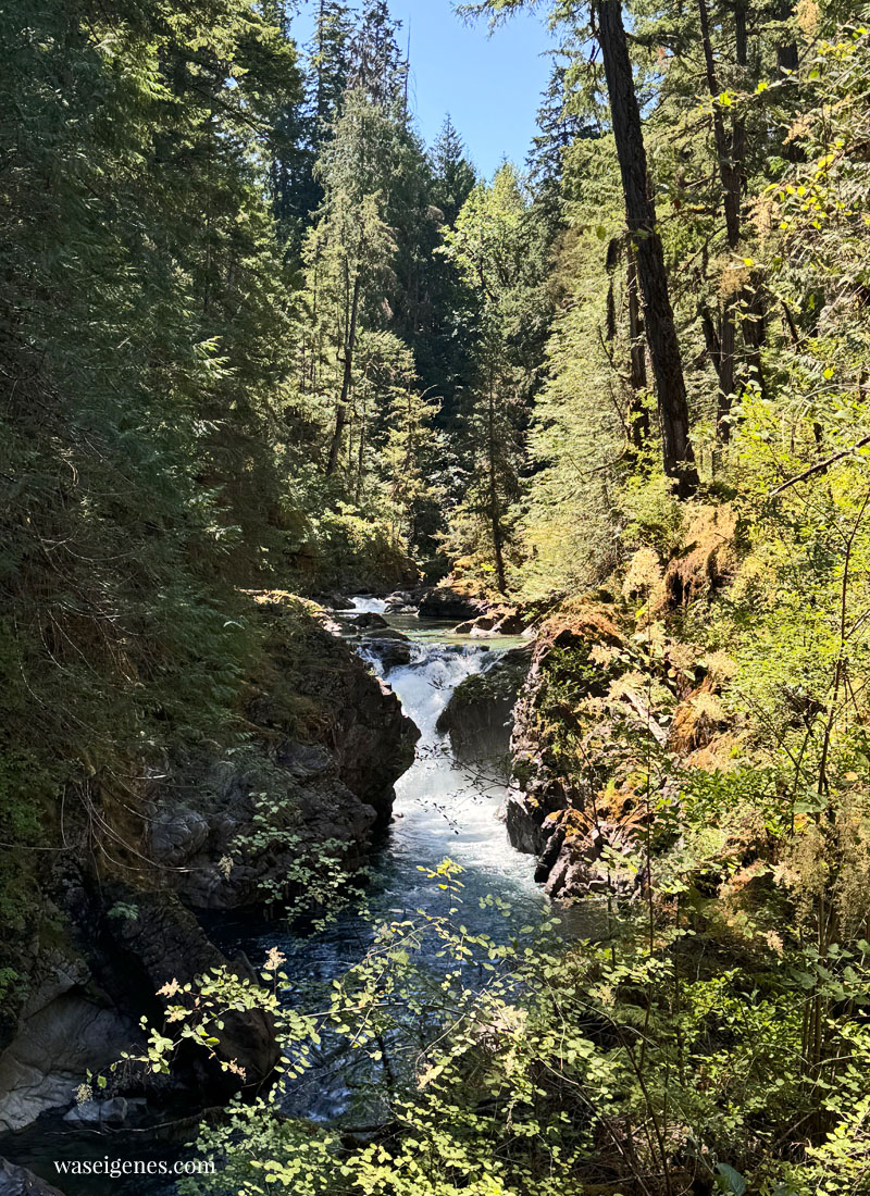 Das war mein Juli 2024 - Monatsrückblick, waseigenes.com | Familienurlaub in Vancouver & Seattle, Dinner im Neni und am Rhein | Ikigai & mehr Buchtipps | DIY Hose nähen