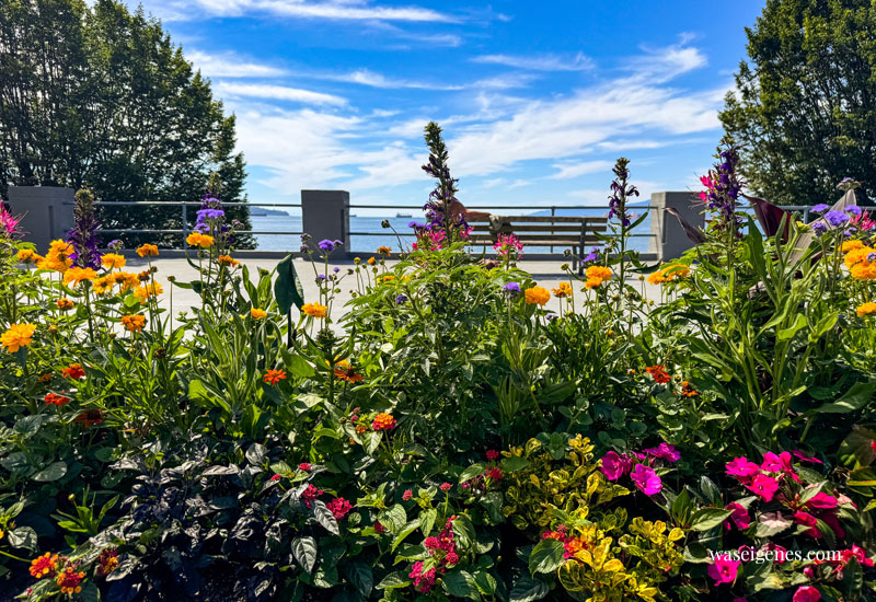 Vancouver - Stadt an der Westküste Kanadas in British Columbia | Familienurlaub | waseigenes.com | British Bay Cactus Club Café