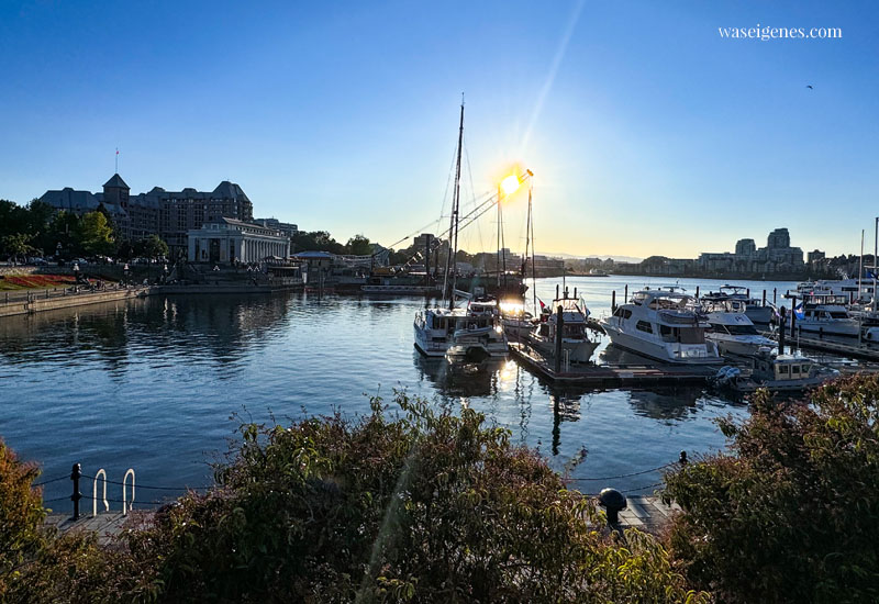 Victoria (British Columbia) auf Vancouver Island (Kanada)! 2 Tage Sightseeing - Hafen, The Empress, Chinatown | waseigenes.com 