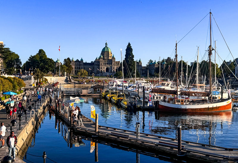 Victoria (British Columbia) auf Vancouver Island (Kanada)! 2 Tage Sightseeing - Hafen, The Empress, Chinatown | waseigenes.com 