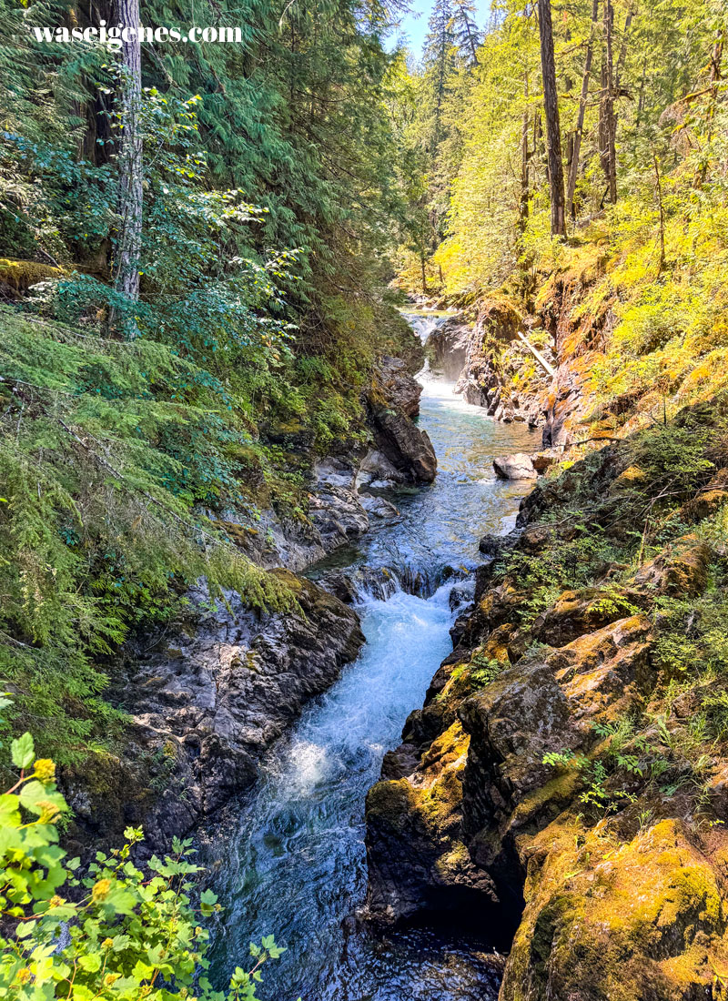 Little Qualicum Falls Provincial Park | Kanada | Vancouver Island | waseigenes.com