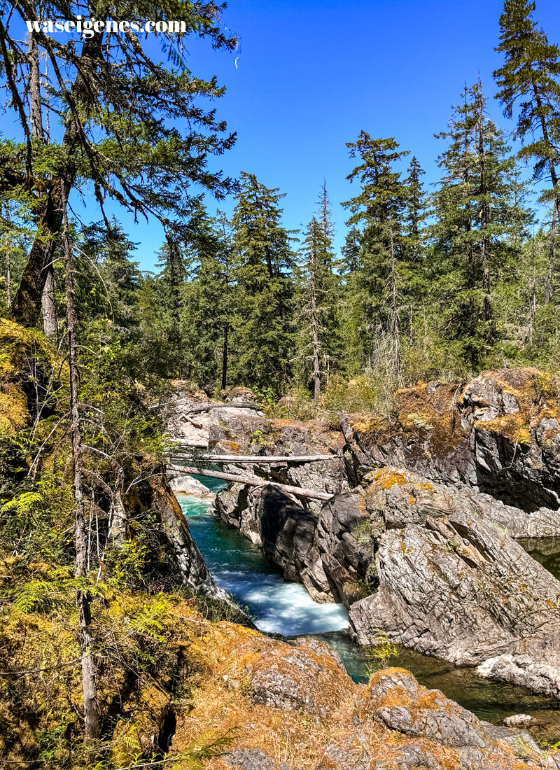 Little Qualicum Falls Provincial Park | Kanada | Vancouver Island | waseigenes.com