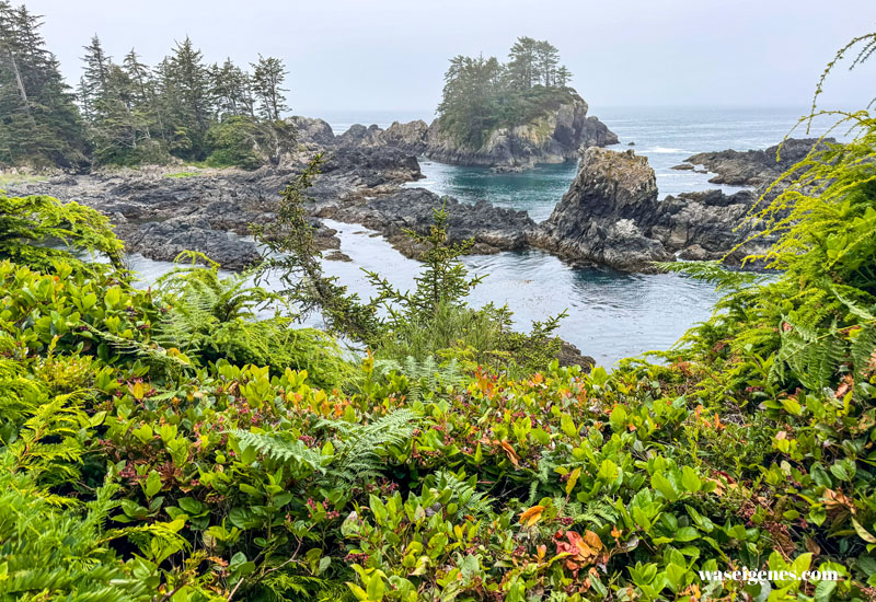 Der Pacific Trail bei Ucluelet | Barkley Sound  | Kanada | Vancouver Island | waseigenes.com