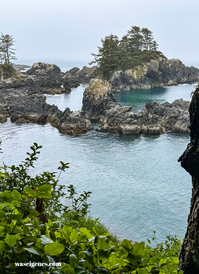 Der Pacific Trail bei Ucluelet | Barkley Sound  | Kanada | Vancouver Island | waseigenes.com