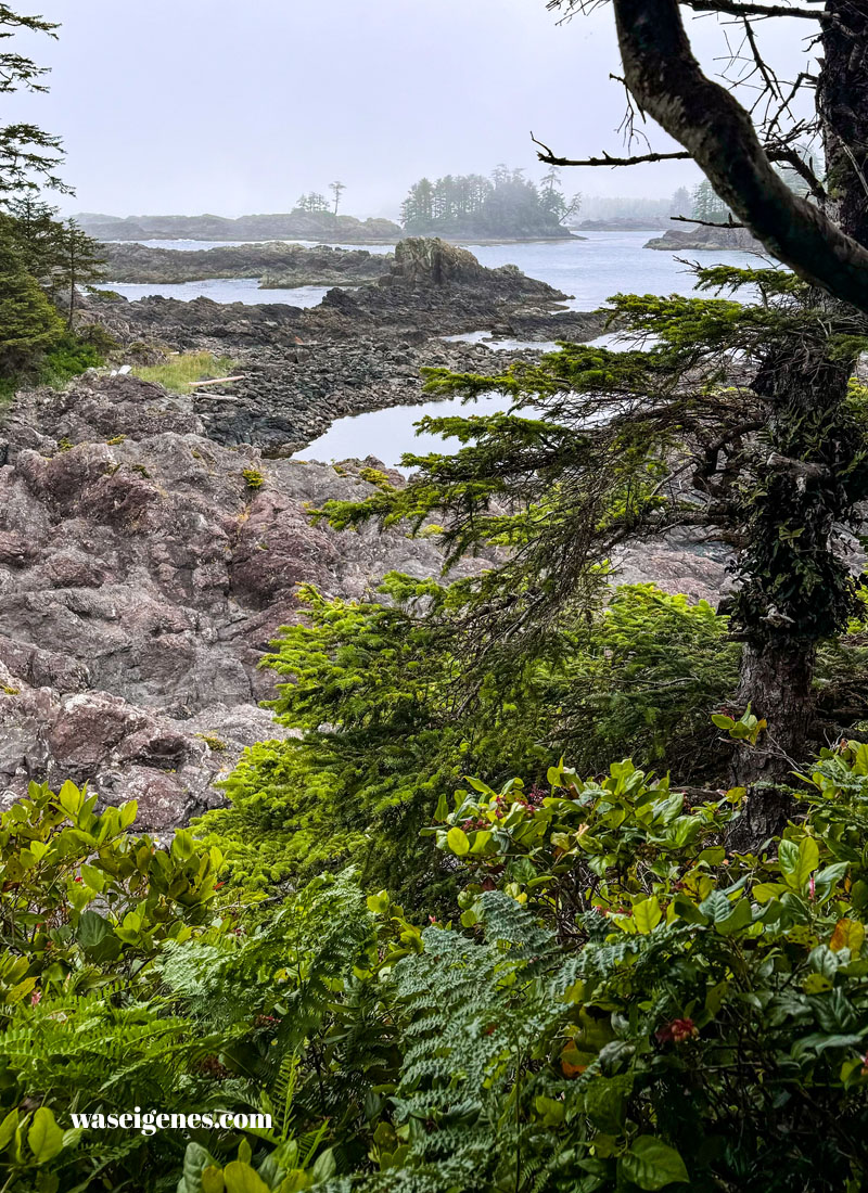 Der Pacific Trail bei Ucluelet | Barkley Sound  | Kanada | Vancouver Island | waseigenes.com