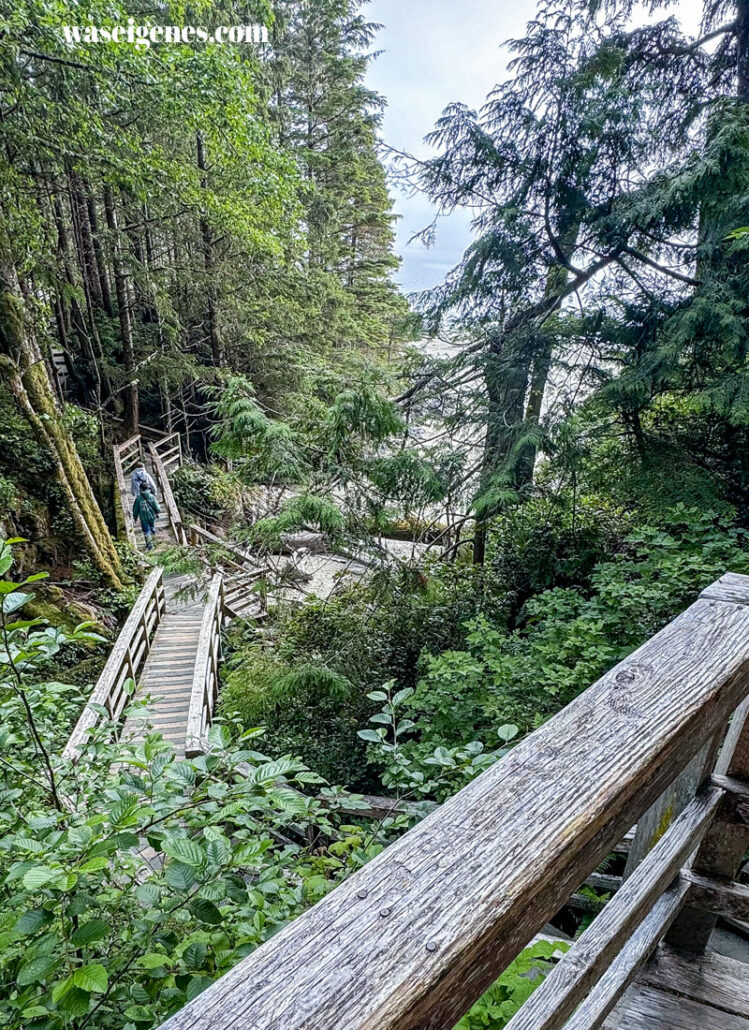 Tofino - Vancouver Island in British Columbia, Kanada - entspannte Stadt für Surfer, Wanderer & Camper, Regenwald & Pazifischer Ozean | waseigenes.com | Tonquin Beach