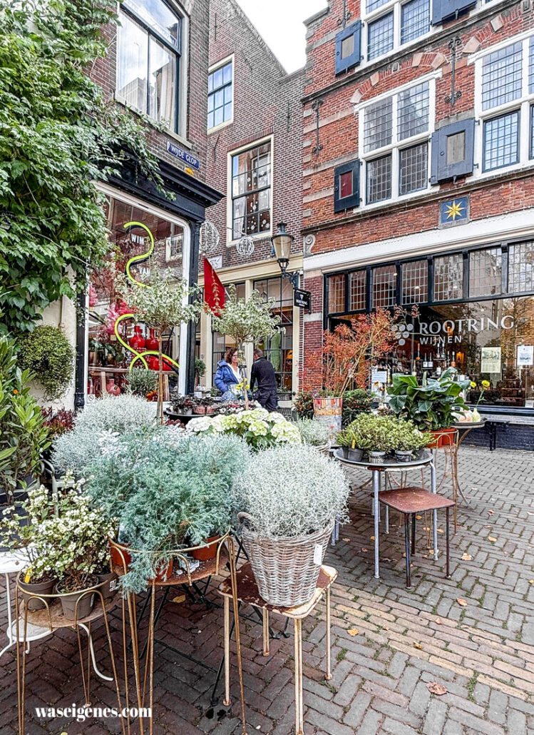 Alkmaar - wunderschöne Stadt in Nordholland, malerische Gassen, bezaubernde Altstadt, Tipps für Cafés & Shopping | waseigenes.com | Wim van Assem - Fnidsen - Blumengeschäft